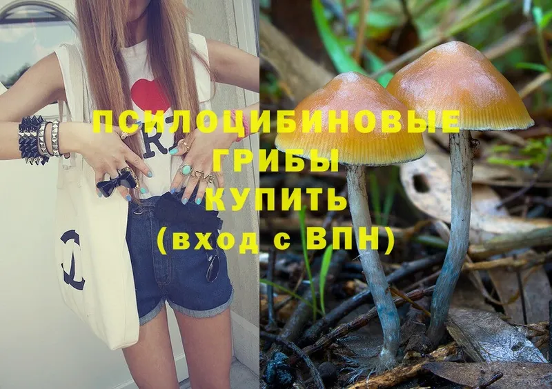 мега маркетплейс  хочу   Лыткарино  Галлюциногенные грибы Magic Shrooms 